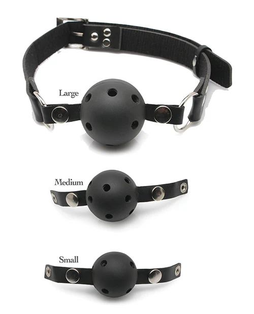 Fetish Fantasy Series Ball Gag Training Kit - Image 4