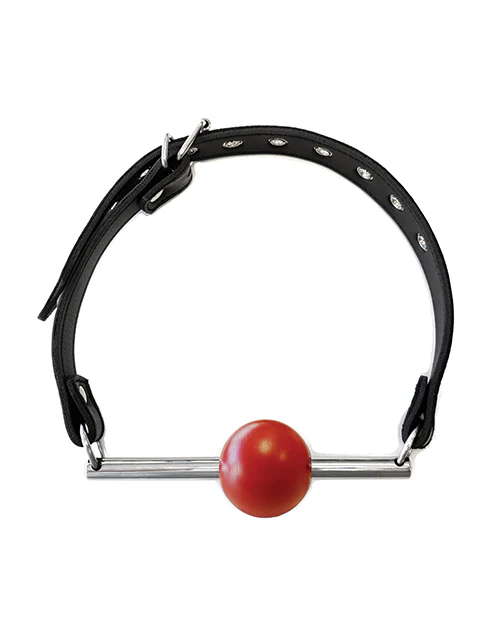 Rouge Leather Ball Gag with Stainless Steel Rod and Removable Ball - Black with Red - Image 3