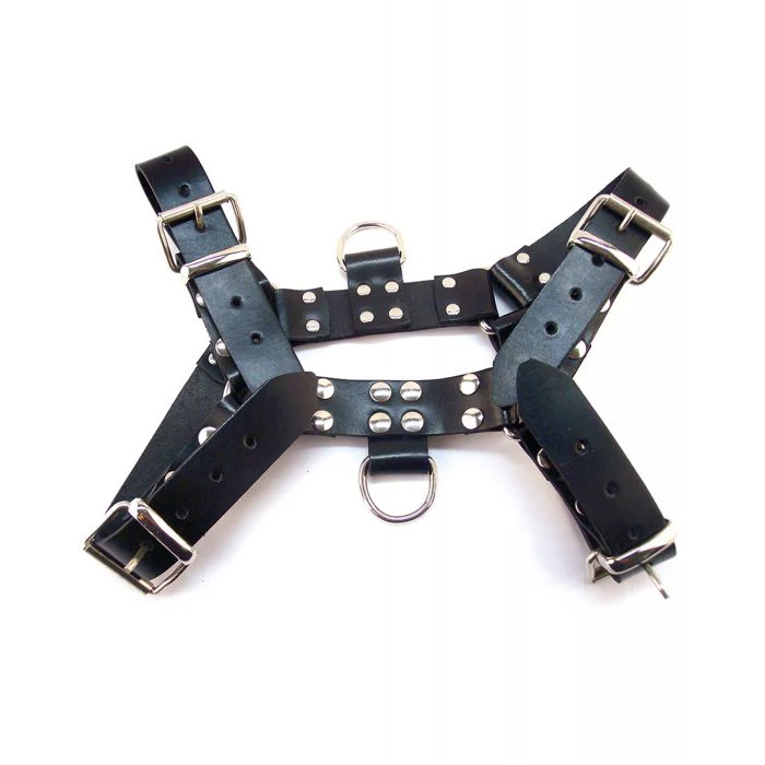 Rouge Over the Head Large Harness - Black - Image 3