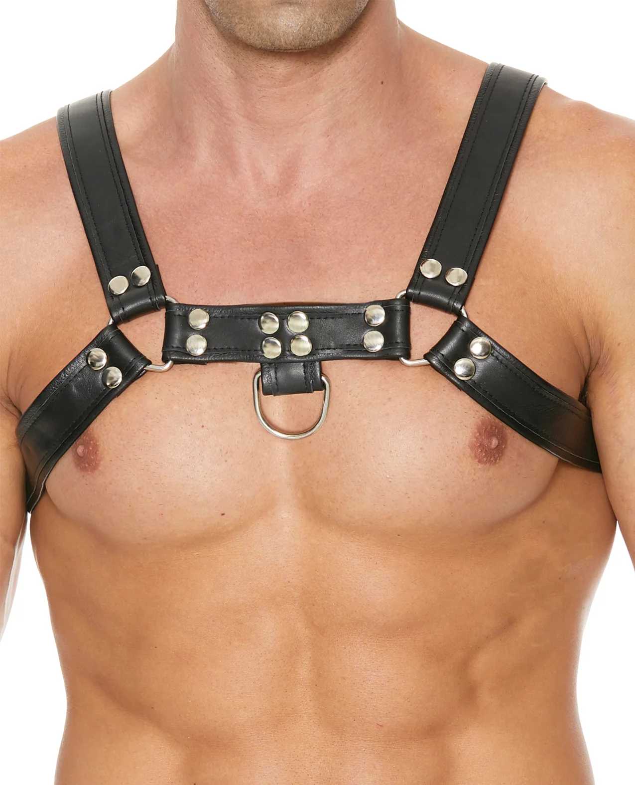 Shots Uomo Chest Bulldog Harness Small/Medium - Black - Image 3